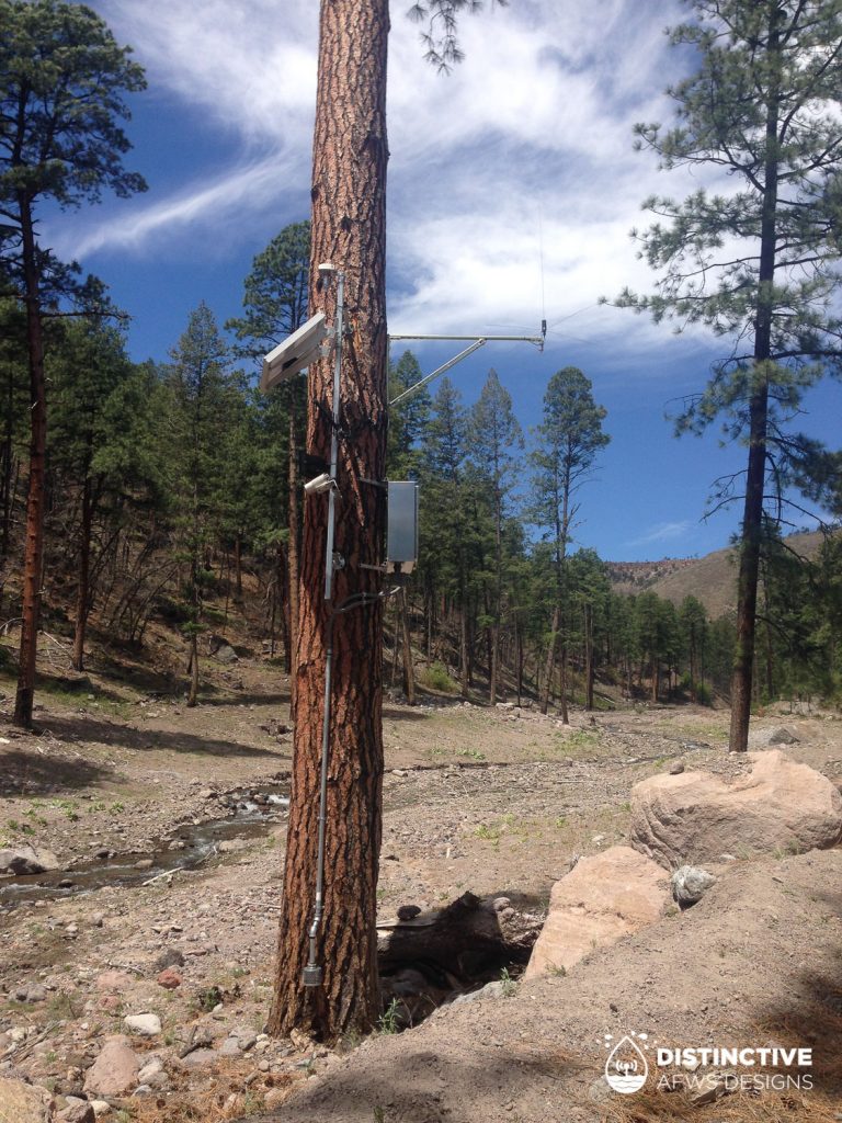 ALERT2 water level station with realtime camera monitoring mounted on ponderosa pine in Santa Clara Canyon, New Mexico